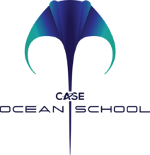 Ocean School logo Colour