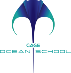 Ocean School logo Colour Green Text b