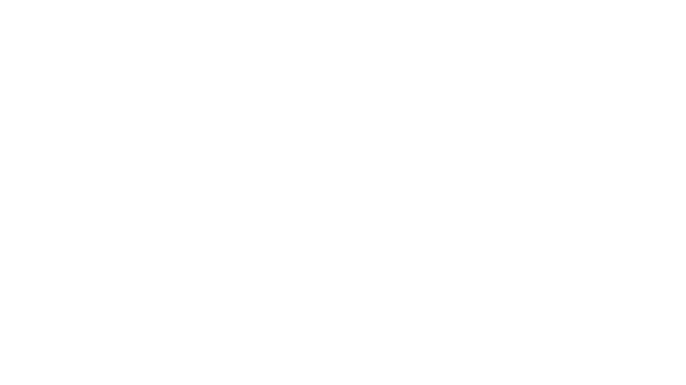 75 % steam 003